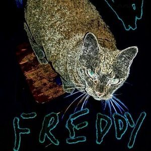 Meet your Posher, Caryn